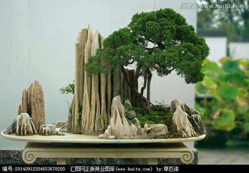 案头云岚 精品假山盆景与假山艺术的自然之道