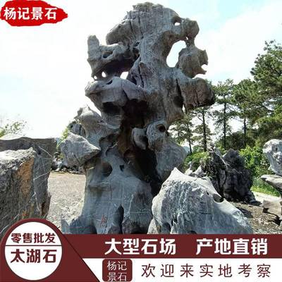 太湖石市场、假山与原石批发指南——英德市望埠镇杨记景石场